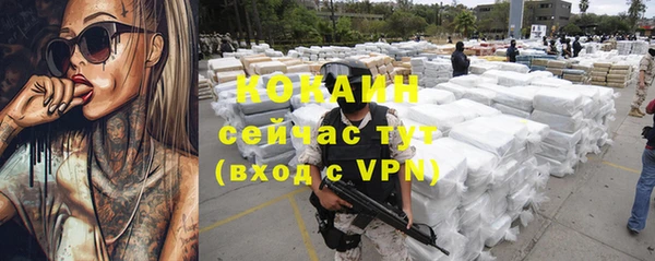 прущие грибы Абинск