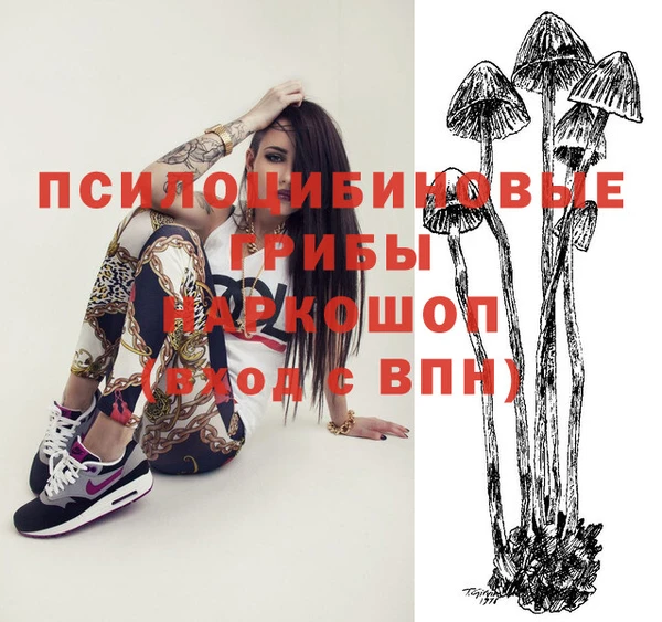 крисы Щучье