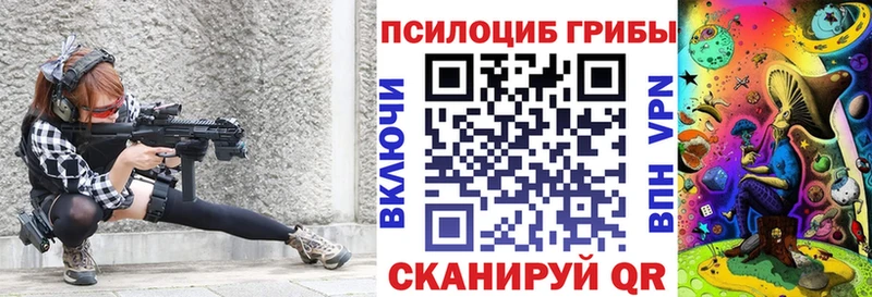 Псилоцибиновые грибы Psilocybe  Новочеркасск 